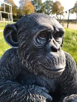 ‼️Schimpanse 52cm Chita Bonobo Steinguss Affe Affen Menschenaffen Saarbrücken-Dudweiler - Dudweiler Vorschau