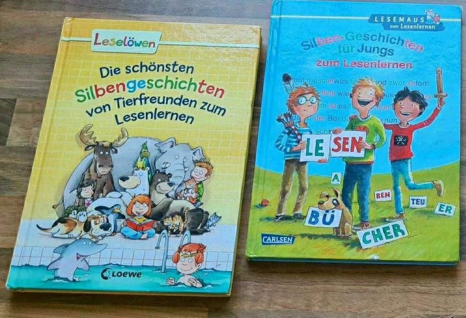 Leselöwen Lesemaus Silbengeschichten lesen lernen Bücher in Berlin