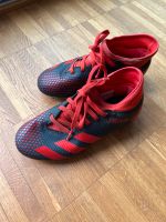 Adidas Predator 33 Bayern - Reichenberg Vorschau