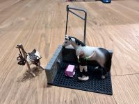 Schleich - Horse Club Pferde-Waschplatz Brandenburg - Schönwalde-Glien Vorschau