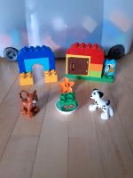 Lego Duplo Hund Katze Hessen - Idstein Vorschau