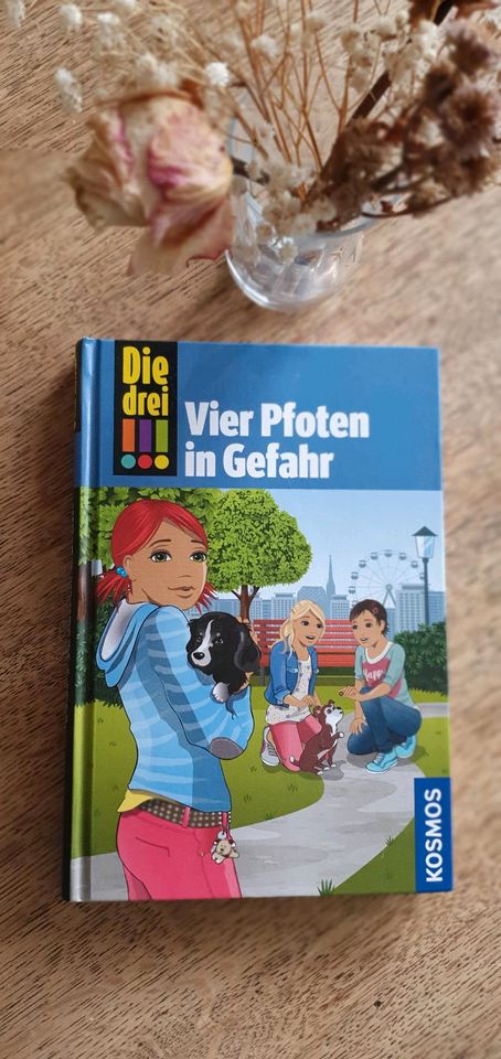 Buch "Die drei !!! - Vier Pfoten in Gefahr" Mira Sol in Villingendorf