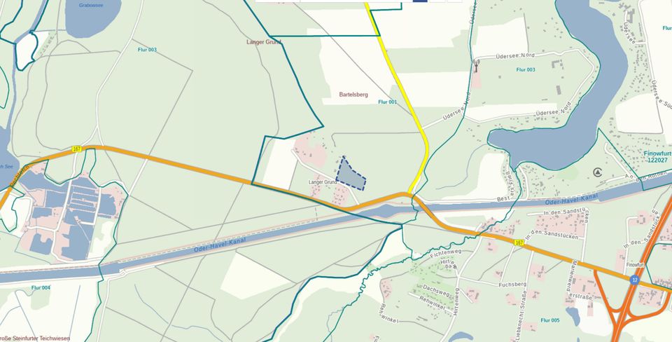 Waldfläche bei Finowfurt, Landkreis Barnim im Land Brandenburg in