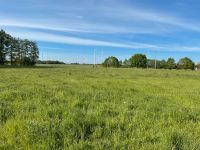 Grünland Weide Wiese zur Pacht Brandenburg - Putlitz Vorschau