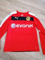 BVB Trikot Gr.  164 mit Unterschrift Nordrhein-Westfalen - Saerbeck Vorschau