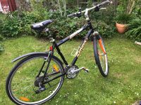 28" Merida Miami Comfort Fahrrad 24 Gang 51 RH RN M8HL91247 Berlin - Neukölln Vorschau