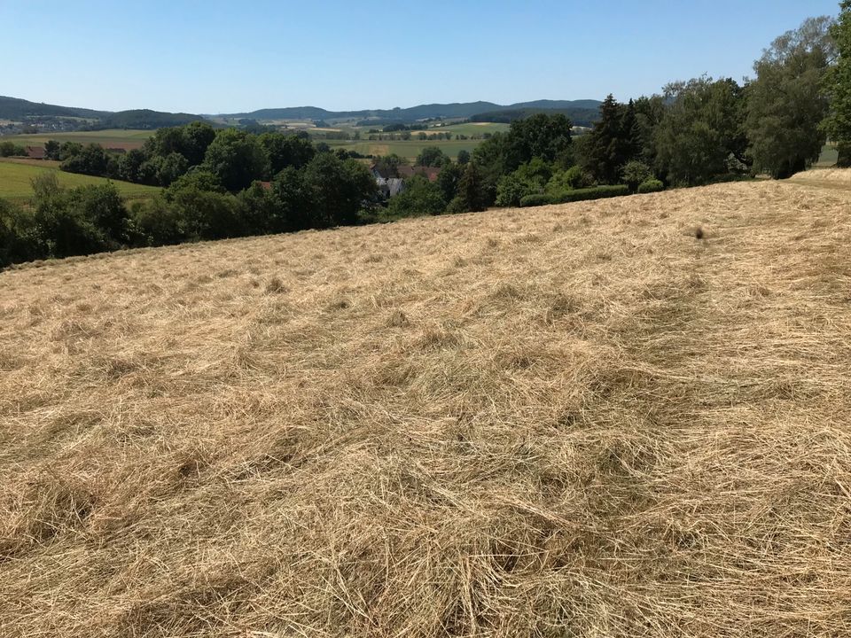 Heu in Rundballen Ernte 2023 in Wetter (Hessen)