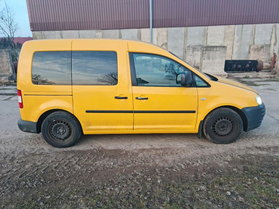 VW Caddy 2,0 8V SDI Tüv Neu Alles Neu Gemacht Mit LKW Zulassung in Ballerstedt