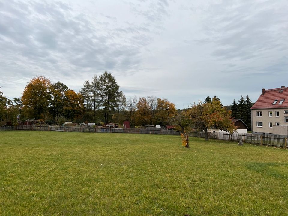 Ihr Traum vom Eigenheim wird wahr: ca. 800m² Bauerwartungsland in ruhiger Lage! in Reinhardtsgrimma