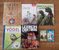 Kinderbücher Wissensbücher Dino, Tiere, Vögel, Bäume, Urzeit Brandenburg - Potsdam Vorschau