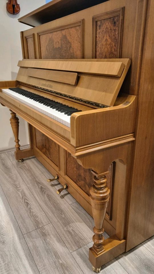 Steingraeber & Söhne Klavier/Piano, Modell 124/130, REDUZIERT in Altendorf