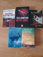 Krimi/Thriller Bücher Feldmoching-Hasenbergl - Feldmoching Vorschau