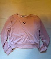 Puma Sportshirt. Gr. L, rosa Nordrhein-Westfalen - Coesfeld Vorschau