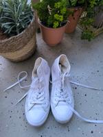 Converse Chucks weiß Leder Gr.37 getragen Leipzig - Böhlitz-Ehrenberg Vorschau