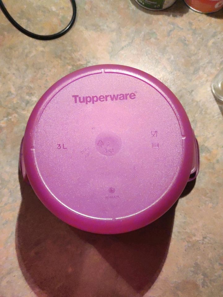 Tupperware großer Reismeister in Warmsen