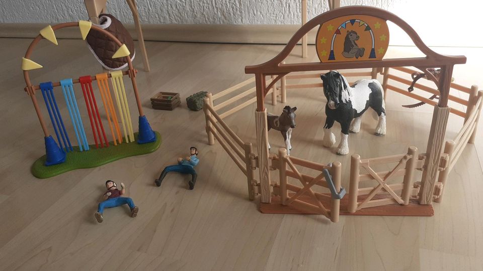 SCHLEICH Reitschule inkl. Zubehör in Obercunnersdorf