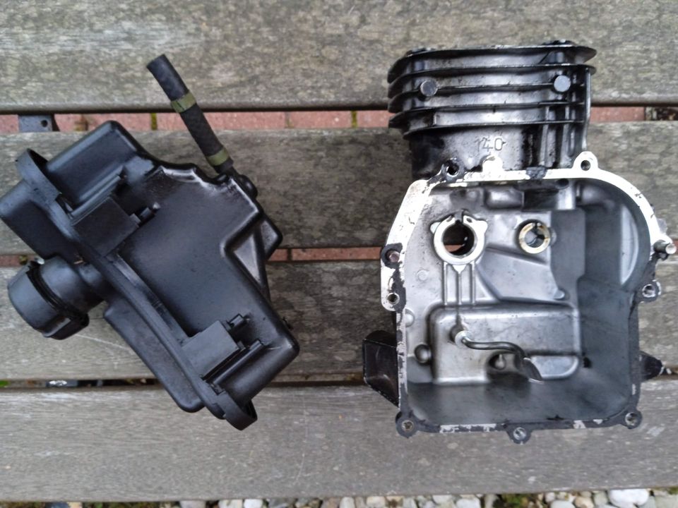 Ersatzteile Briggs & Stratton 575 EX 140ccm OHV Rasenmäher Motor in Marne