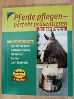 Pferde pflegen - Perfekt und schön Kavalkade Ratgeber Kosmos Hessen - Büdingen Vorschau