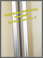 2er Set Magnet-Duschdichtung für Pendeltüren mit 6 mm Glas Nordrhein-Westfalen - Baesweiler Vorschau