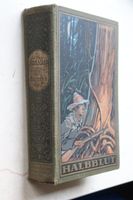 Karl May Halbblut, Band 38, Hardcover, Karl-May-Verlag Radebeul Rheinland-Pfalz - Mittelbrunn Vorschau