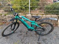 E-Mountainbike E-MTB HAIBIKE AllMountain 1 Rheinland-Pfalz - Guntersblum Vorschau