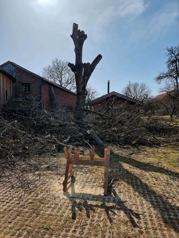 Alles transportieren. Alles für Haus und Garten. in Fraunberg