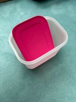 Eiskristall Tupper Tupperware pink Niedersachsen - Stuhr Vorschau