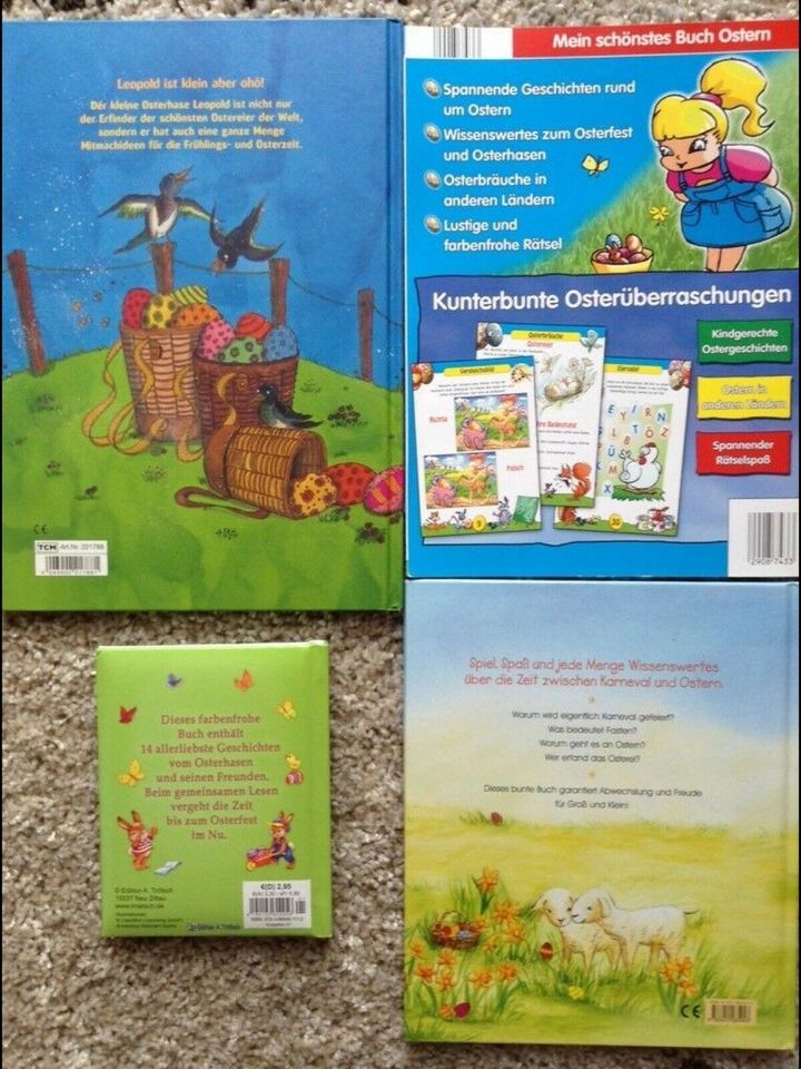 Kinderbuch Buch Erstleser Vorlesebuch Vorschule Basteln in Berlin