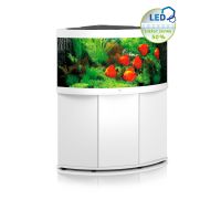 Aquarium Juwel Trigon 350 LED + Unterschrank Kombination *NEU* Nordrhein-Westfalen - Beckum Vorschau