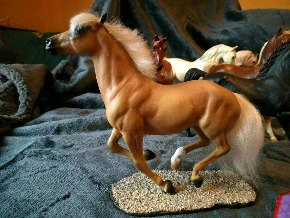 Breyer Classic und Zubehör Kutsche sattel Zaumzeug Hindernisse in Ramsthal