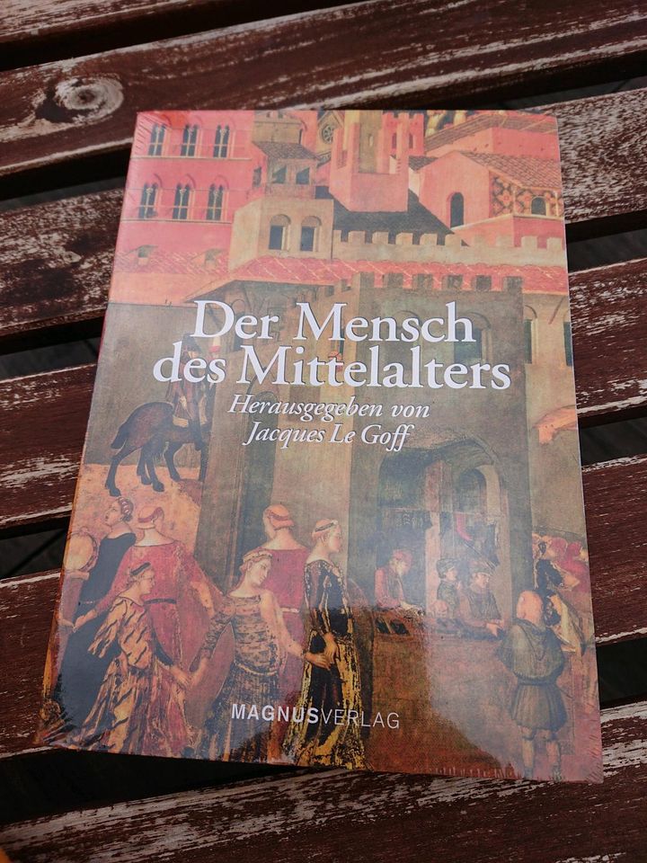 Buch neu Mensch des Mittelalters Jacques Le Goff in Stein