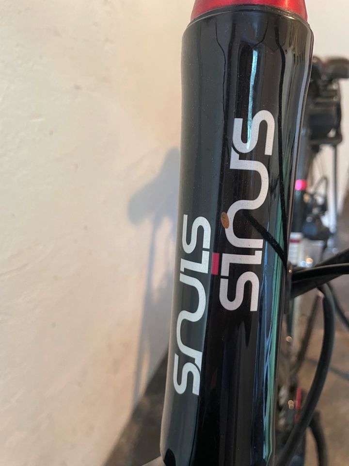 E-Bike der Marke Sinus mit Akku und Ladegerät in Feucht