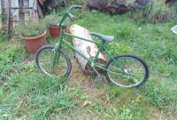 DDR BMX  Mifa Brandenburg - Peitz Vorschau