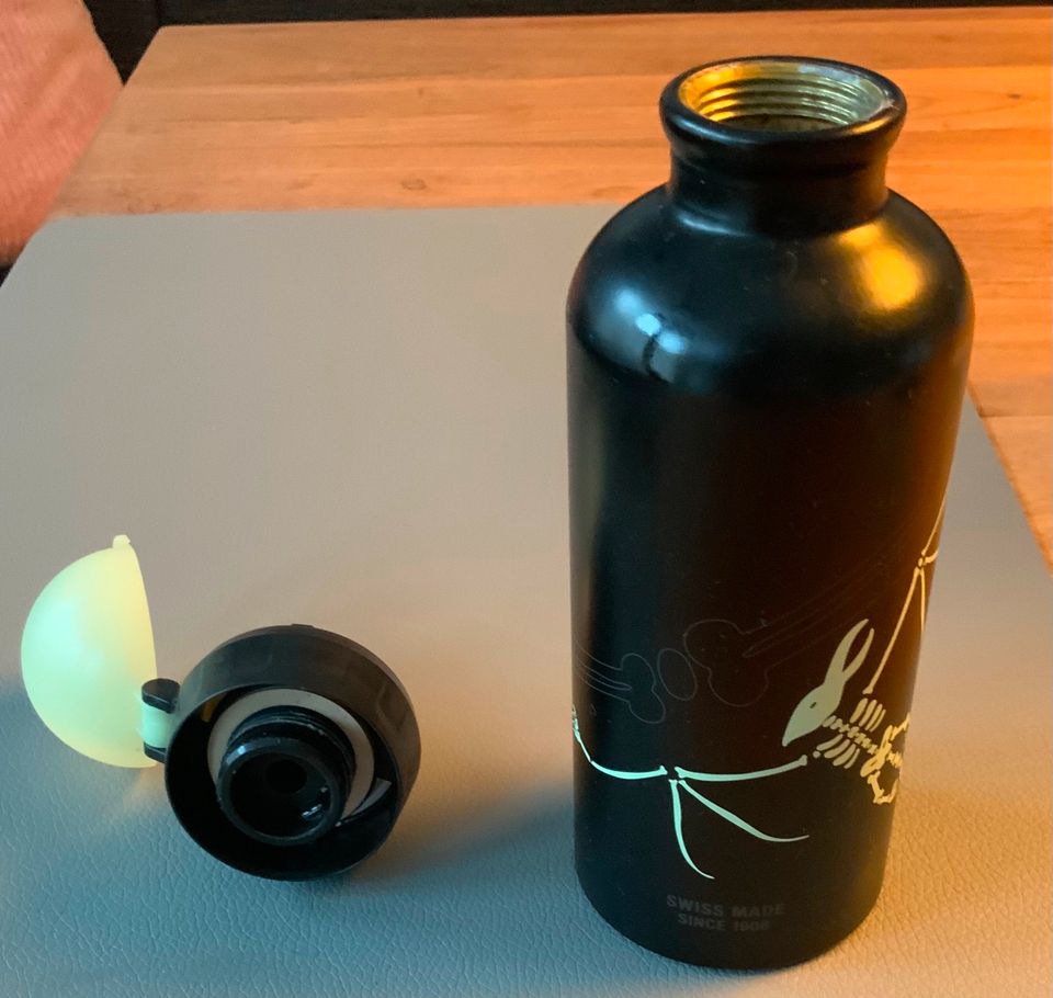 SIGG Glow in the dark Trinkflasche Kinder, Dinos, 400 ml, schwarz in Heiligenhaus