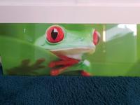 Glasbild "Frosch" Schleswig-Holstein - Rendsburg Vorschau