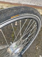 Prophete Fahrrad E Bike  für Damen und Herren 28 Zoll ohne Akku Nordrhein-Westfalen - Mönchengladbach Vorschau