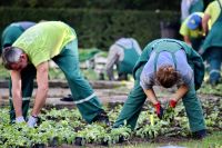 Gartenarbeit Bayern - Augsburg Vorschau