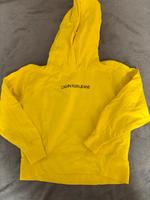 calvin klein jeans neon gelb pullover hoodie neu Harburg - Hamburg Sinstorf Vorschau