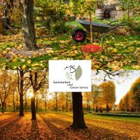 Gartenarbeit| Gartenhilfe| Baumfällung| Gartenpflege Baden-Württemberg - Heiningen Vorschau