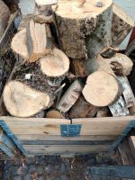 Brennholz zum selbst Hacken Hessen - Kirchheim Vorschau