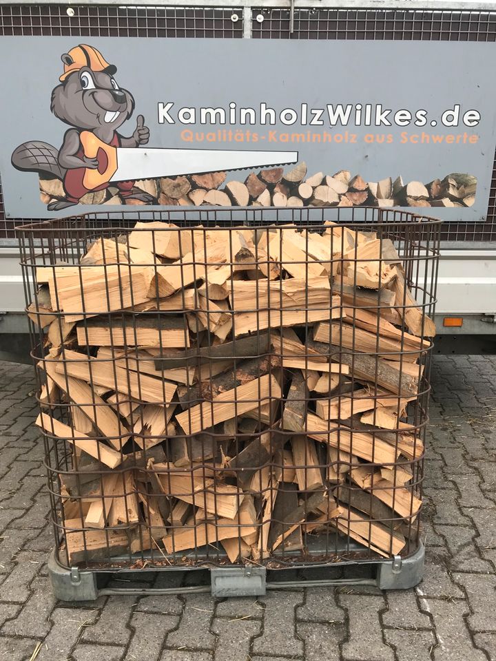 Kaminholz Brennholz Kammer getrocknet TROCKEN Buche Esche in Dortmund