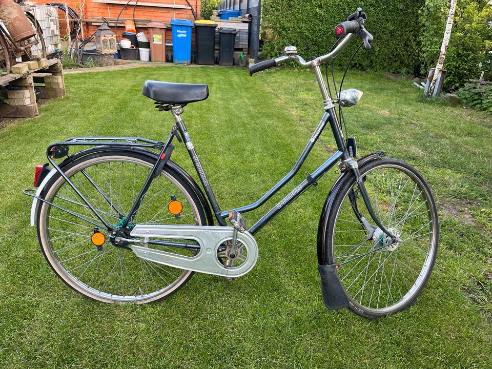 Vintage Damen-Fahrrad Union Veloring Paloma in Holdorf