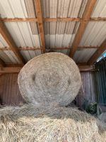 Heu Rundballen ca. 130 cm - Pferdeheu! Baden-Württemberg - Osterburken Vorschau