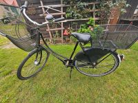 28" Fahrrad Godewind Nordwestmecklenburg - Landkreis - Herrnburg Vorschau