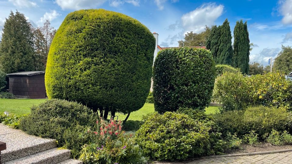 Gartenarbeit ✅Gartenpflege ✅Heckenschnitt ✅Gartenservice in Essen