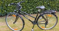 KTM Fahrrad Damen Baden-Württemberg - Gaggenau Vorschau