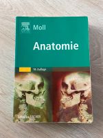 Anatomie von Moll , 18.Auflage Sachsen - Weischlitz Vorschau