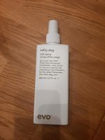 EVO Salty Dog / Salt Spray Rostock - Gehlsdorf Vorschau
