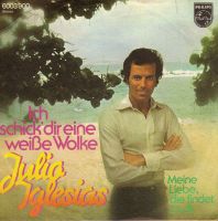 9x Single Julio Iglesias, Ray Miller , Udo Jürgen,Freddy -- Vinyl Bayern - Kelheim Vorschau