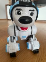 Roboter Hund Bayern - Landshut Vorschau